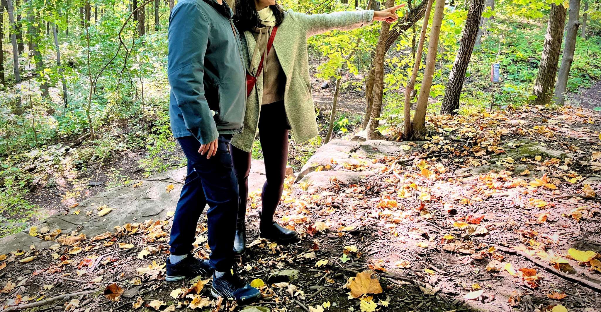 Montreal's Mount Royal Tour photo 4