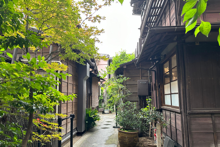 Tradycyjne stare miasto w Tokio - Yanaka, Nezu i Ueno SakuragiTokio : Stare tradycyjne miasto~Yanaka,Nezu&amp;Ueno Sakuragi