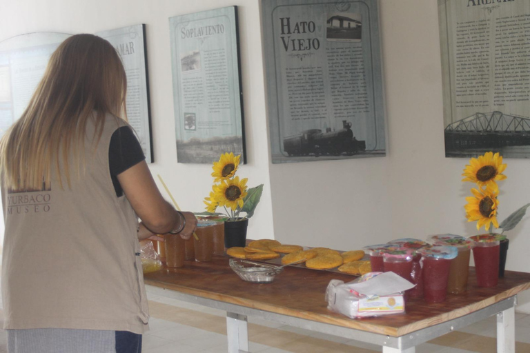 Cartagena: Adventure in Turbaco and botanical garden Cartagena: Turbaco Adventure and Botanical Garden