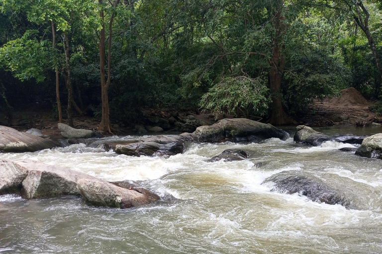 Ella: Authentic village tour with Sri Lankan lifestyle & way