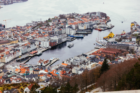 Bergen: Fjord Cruise with Audio Guide