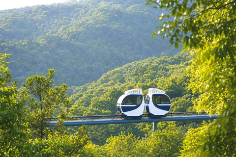 Seoul: Hwadam Forest & Namhansanseong & Korean Folk Village Private Tour (1-8 people Max)
