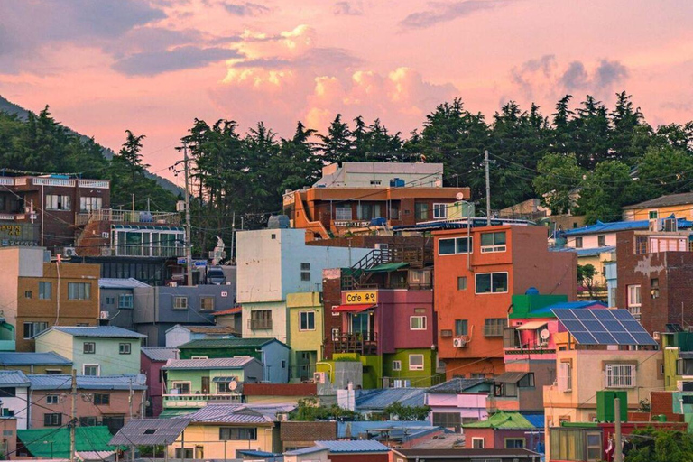 Busan Coastal Tour: Yonggungsa, Cruise & Gamcheon