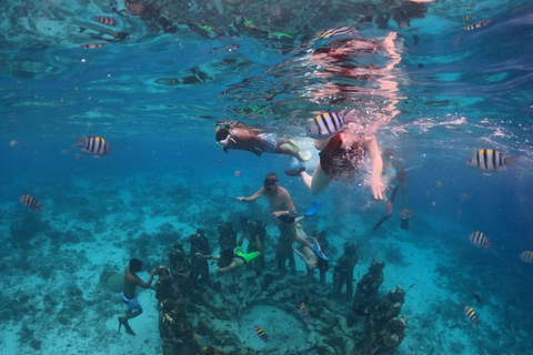 Gili Islands: Snorkeling Sharing Group Tour with Photos
