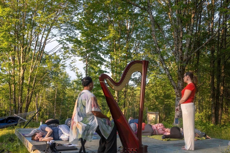 Hollis: New Moon Yoga Nidra, Reiki & Harp Sound Bath