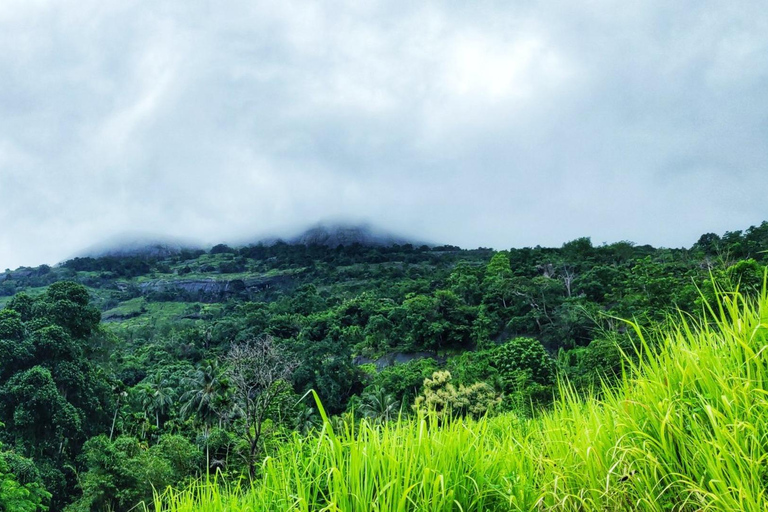 Experience Authentic Sri Lankan Life with Kasun!