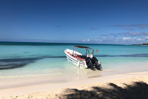 Safari de snorkel y vida salvaje en Isla Saona: ¡Todo incluido!