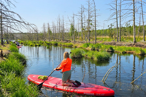 From Riga: Latvian jungle tour with paddle boardLatvian jungle