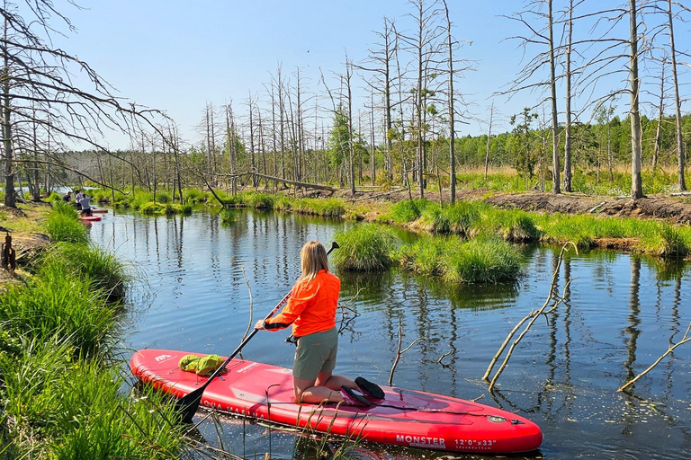 From Riga: Latvian jungle tour with paddle boardLatvian jungle