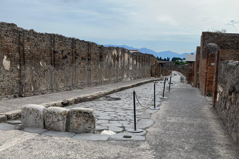 Pompeii: Guided Tour with a Local Expert Guide
