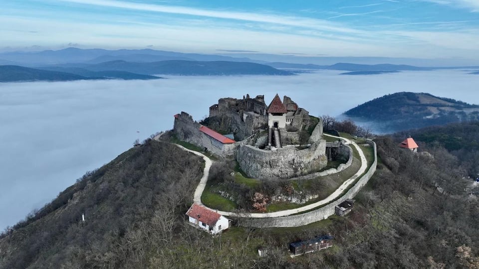 Da Budapest: tour della foresta sull'Ansa del Danubio, Visegrád e Szentendre
