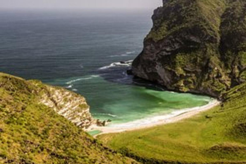 Salalah: Shaat Cliffs & Fazayah Beach Nature Private Tour