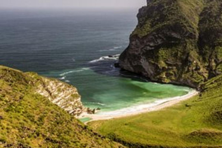 Salalah: Shaat Cliffs & Fazayah Beach Nature Private Tour