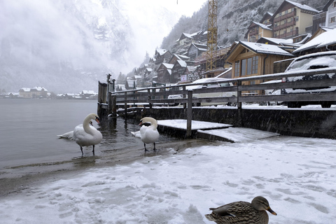 Alpes enneigées et villes de conte de fées : Hallstatt et Salzbourg