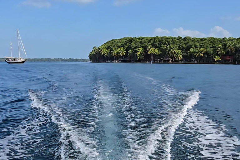 Bocas del Toro: Snorkel in Crystal-Clear Waters and Playa Estrella by Boat Bocas del Toro: Snorkel in Crystal Clear Waters and Playa Estrella by Boat