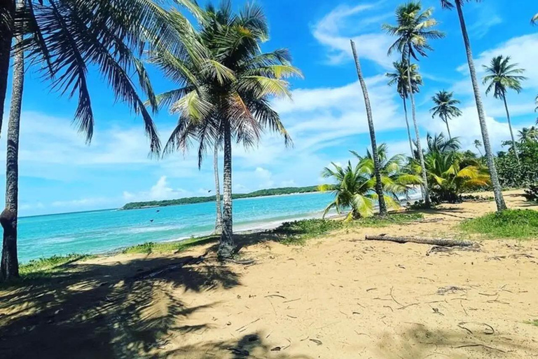 El Yunque &amp; Piñones Tour; Caminha, come e relaxa como um local