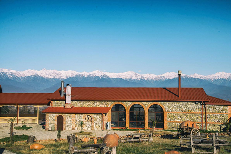Tbilisi: Kakheti Day Trip with Wine Tasting & Boat Ride