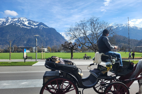 Grindelwald Lauterbrunnen Interlaken Swiss Alps Private Tour