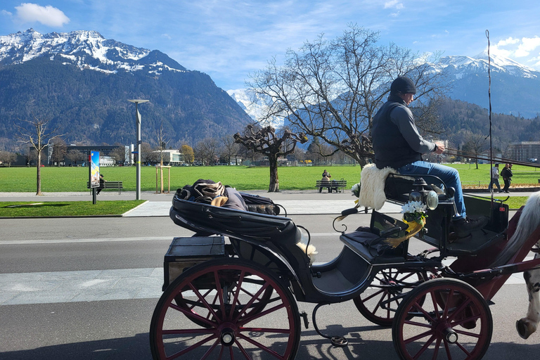 Grindelwald Lauterbrunnen Interlaken Swiss Alps Private Tour