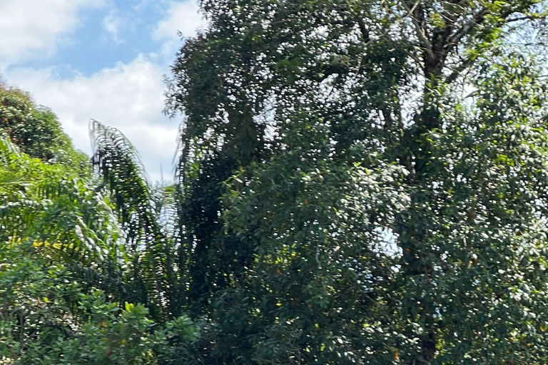 Rafting 5km.+Optional Zipline & ATV(Near Krabi/In Phang Nga) 5 km rafting