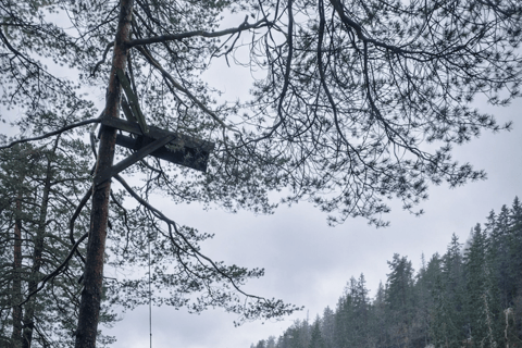 Oslo’s Most Beautiful Fjord Views - light hike version