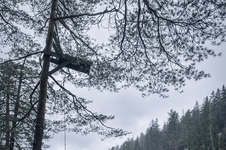 Oslo’s Most Beautiful Fjord Views - light hike version