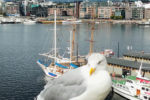 奥斯陆历史风味：美食、火焰和峡湾景观Oslo’s Taste of History – Flames, Food &amp; Fjord Views