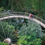 Vancouver: tour della città, Ponte di Capilano e Granville Island
