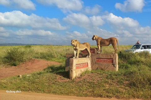 Nairobi park afternoon game drive with free airport pick up.