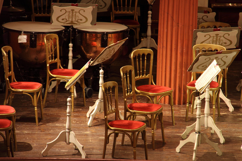 Vienne_ Visite guidée privée à pied à la rencontre de Beethoven Life3 heures : Visite à pied de Beethoven