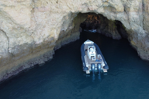 Esplora Benagil, Ponta da Piedade e i delfini in Algarve