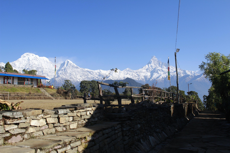 Pokhara: 3-Day Astam, Dhampus, and Australian Camp Trek