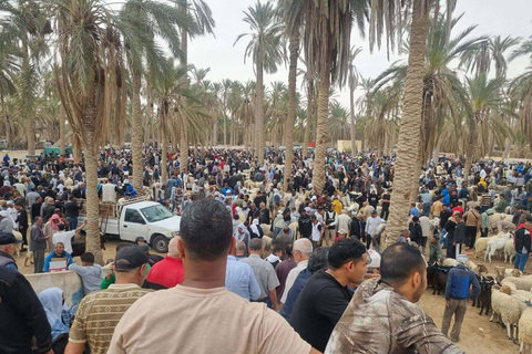From Djerba: Douz, Matmata Star Wars Sites & local market