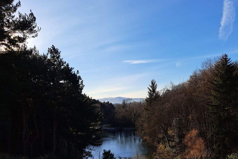 Drive Dublin in a Day - From Dublin City/Dún Laoghaire Port