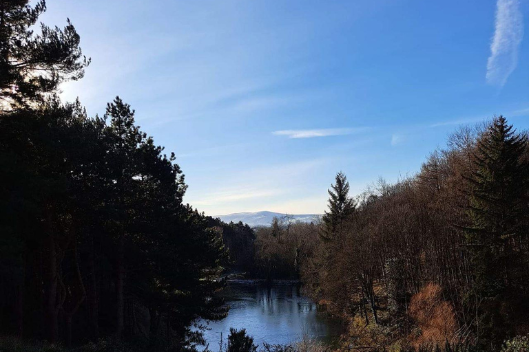 Drive Dublin in a Day - From Dublin City/Dún Laoghaire Port