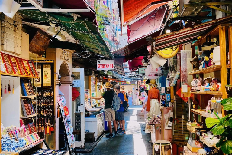 Shanghai: tour privato personalizzabile di 4 ore dei luoghi più importantiShanghai: tour di 4 ore con guida privata e macchina privata