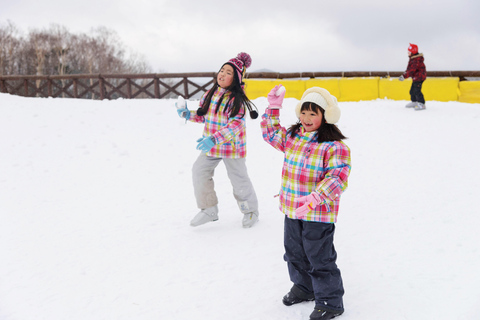 Desde Tokio: Excursión de un Día de Esquí de Invierno en la Estación Nieve Fujiyama YetiB (SKI + FORFAIT), nos vemos en Shinjuku