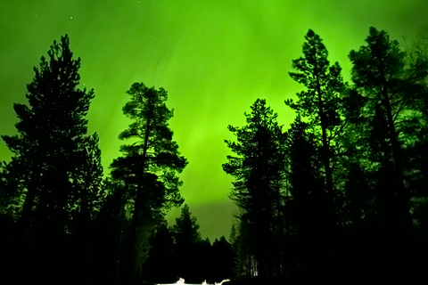 Excursión en minibús a la aurora boreal en el Parque Nacional de Abisko