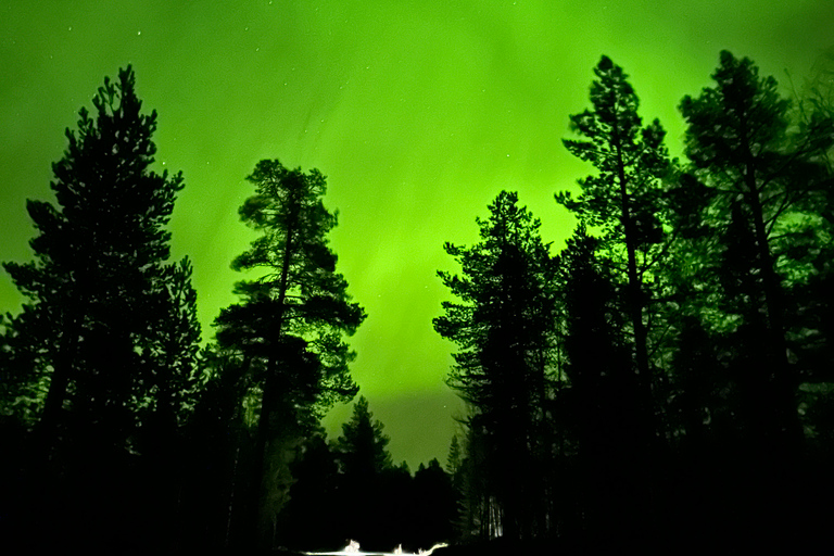 Excursión en minibús a la aurora boreal en el Parque Nacional de Abisko