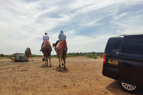 Hercules Caves & Cap Spartel Panoramic Tour with Camel Ride Tangier: Hercules Caves and Cap Spartel Panoramic Tour