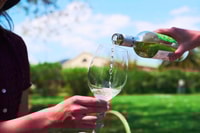 Van Santiago, Vineyard, Valparaíso en Viña del Mar Tour - Housity