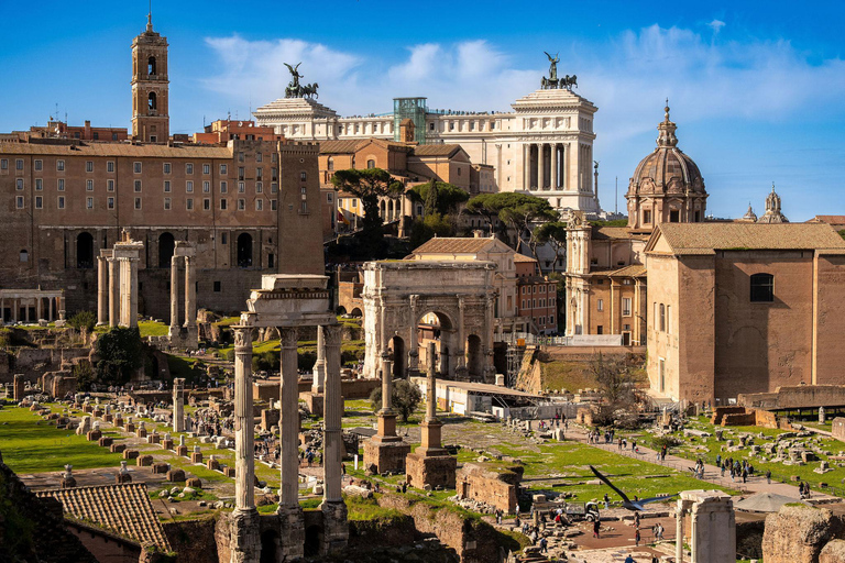 Rome: Colosseum, Forum & Palatine Hill Guided Tour 7 People