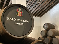 Visit a century-old winery in the centre of jerez - Housity
