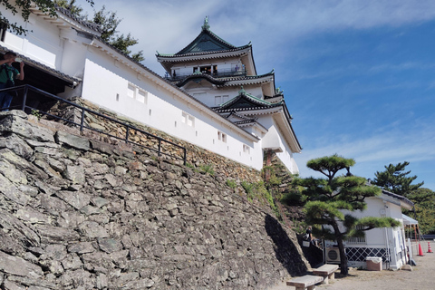 Wakayama: Tokugawa Castle That Guarded the Southern Coast From JR Wakayama Station