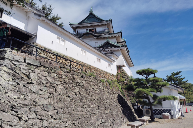 Wakayama: Tokugawa Castle That Guarded the Southern Coast From JR Wakayama Station