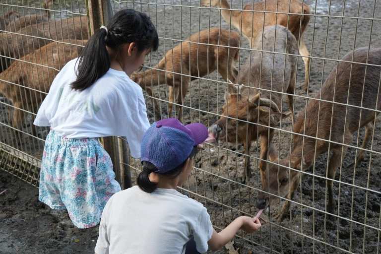 Kuala Lumpur: E-bilet do Zoo Negara z natychmiastowym wstępemNatychmiastowy e-bilet dla osób niebędących Malezyjczykami