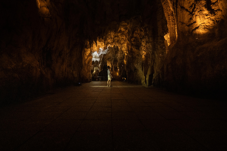 Auckland : Waitomo Glowworms & Te Puia Rotorua with Lunch