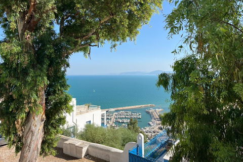 Tunis Express :Carthage, Sidi Bou Saïd & Médina with GENZ