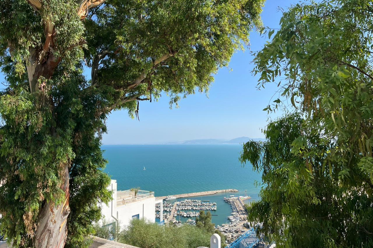 Tunis Express :Carthage, Sidi Bou Saïd & Médina with GENZ