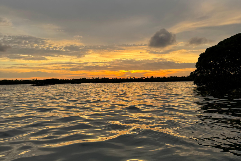 Tour en barco al atardecer por la laguna de Negombo y el canal holandésTour en barco por la laguna de Negombo y el canal holandés al atardecer